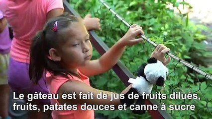 Le panda Bei Bei fête son 4ème anniversaire au zoo de Washington