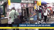 Cameroon: encouraging the business climate
