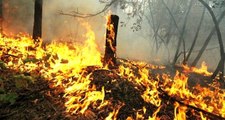 Marmaris'te polis 4 günde 4 yangının çıkmasının ardından eşkali belirlenen şüphelilerin peşine düştü