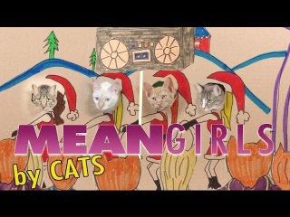 Mean Girls Parody - Mean Cats