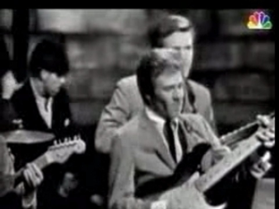 Bobby Fuller Four - I Fought The Law