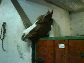 Apache et moi.._0002