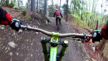 Biker Briefly Chased by Bear