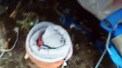 7 Scary Paranormal Videos You've Never Seen