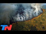 El Amazonas en llamas: los números del desastre | TN CENTRAL