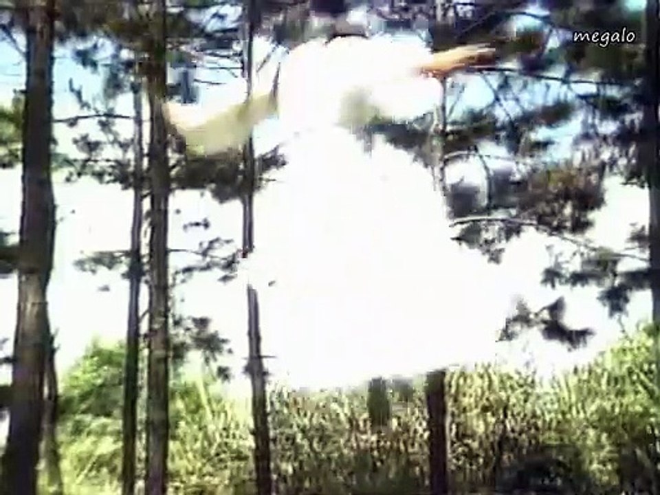 มังกรหยก ภาค 4 - เซียวเหล่งนึ่ง (เฉินอวี้เหลียน) The Return of the Condor Heroes 1983