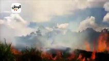 غابات الأمازون  أسبوع من الحرائق في رئة الأرض يهدد البشرية