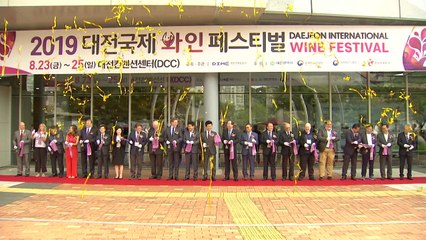 [대전/대덕] '2019 대전국제와인 페스티벌' 개막 / YTN