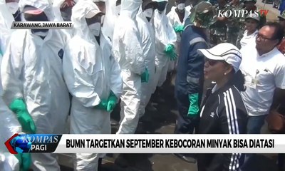 BUMN Targetkan September Kebocoran Minyak Bisa Diatasi