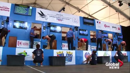 Sheep shearing is a real sport, athletes say