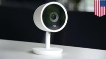 Vulnerabilities found in Google's Indoor Nest cameras: Report