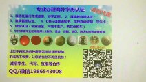 留学挂科了怎么办澳洲（CSU假毕业证）QQ/微信1986543008可以办理查尔斯特大学假毕业证成绩单文凭留服认证留信认证使馆公证Charles Sturt University diploma