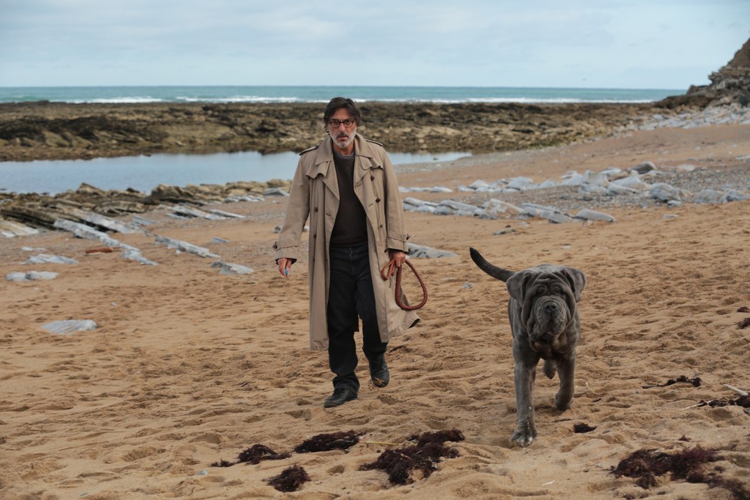Mon chien Stupide Film avec Yvan Attal et Charlotte Gainsbourg