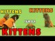 Kittens, Kittens and Kittens - Episode 3