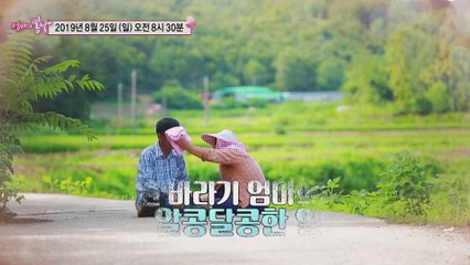 남편 바라기 아내의 꽃보다 당신_엄마의 봄날 206회 예고