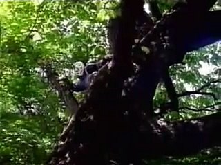 온라인슬롯사이트추천 FV43.COM༼”온라인바카라”༽