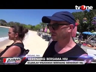 Wisatawan di Nusa Dua Bali Berenang Bersama Ratusan Hiu