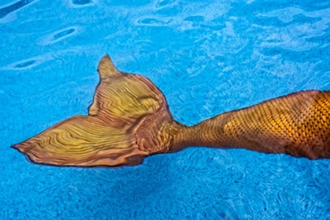 Der Mythos der Meerjungfrauen