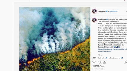 Incendie en Amazonie : les photos qui circulent sont-elles fausses ?