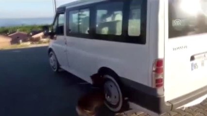 Van'da 342 kilo 700 gram eroin ele geçirildi