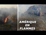 L'Amazonie brûle? La Bolivie aussi