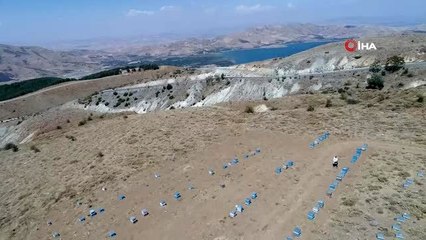 2 bin rakımda doğal "bal" bereketi