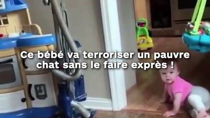 Ce bébé va terroriser un pauvre  chat sans le faire exprès !