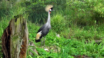 An Adventure Challenge At WWT Martin Mere Wetland Centre!