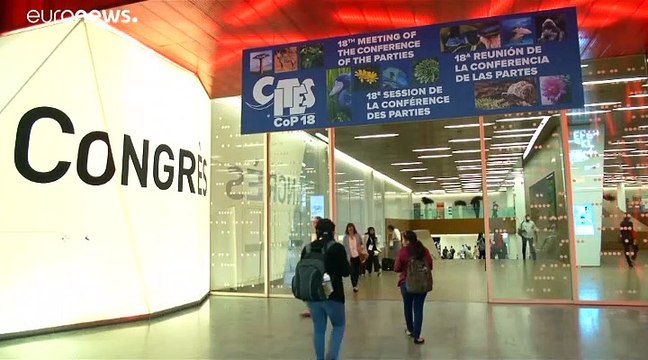 La cause des girafes d'Afrique entendue