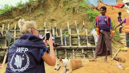 Move over Angelina Jolie, it's 'humanitarian pup'