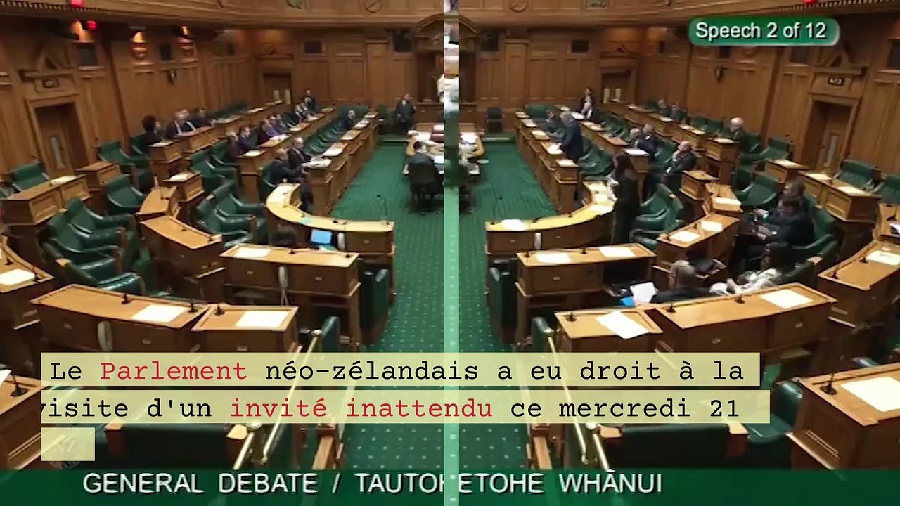 Le président du Parlement néo-zélandais berce u...
