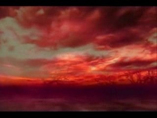 burcu güneş zorba aşk