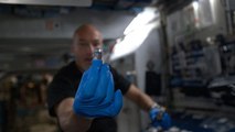 Experimente in der Schwerelosigkeit: Ein 3D-Drucker zur Herstellung menschlicher Organe im Weltraum