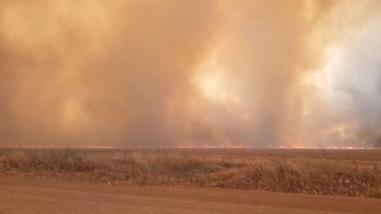 Brasiliens Regenwald steht in Flammen