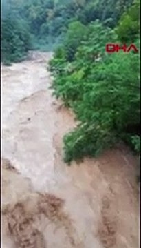 Ordu'da taşan derede mahsur kalan 5 büyükbaş kurtarıldı