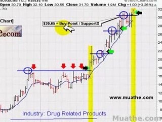 HOT Breakout Stocks To Watch; AUXL 01/29
