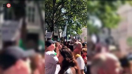 Amazzonia, brucia il polmone verde del mondo: numerose le proteste contro Bolsonaro | Notizie.it