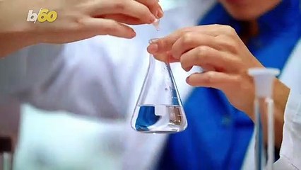 Skipping A Meal A Day Could Prevent Chronic Disease, According To Study