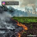 ¿Cuáles son las consecuencias que podrían generar los incendios en la Amazonía sobre el planeta?