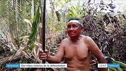 Amazonie : des tribus victimes de la déforestation
