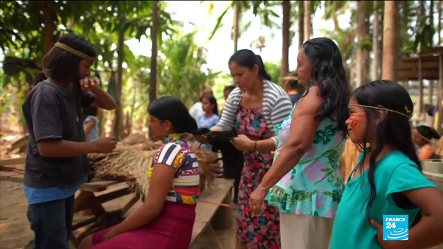 Les populations indigènes vivant en Amazonie, menacés par la déforestation