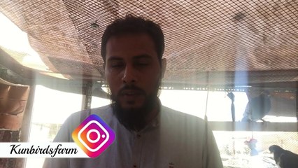 Garmi me kabutar ke liye Thanda Thar Pani