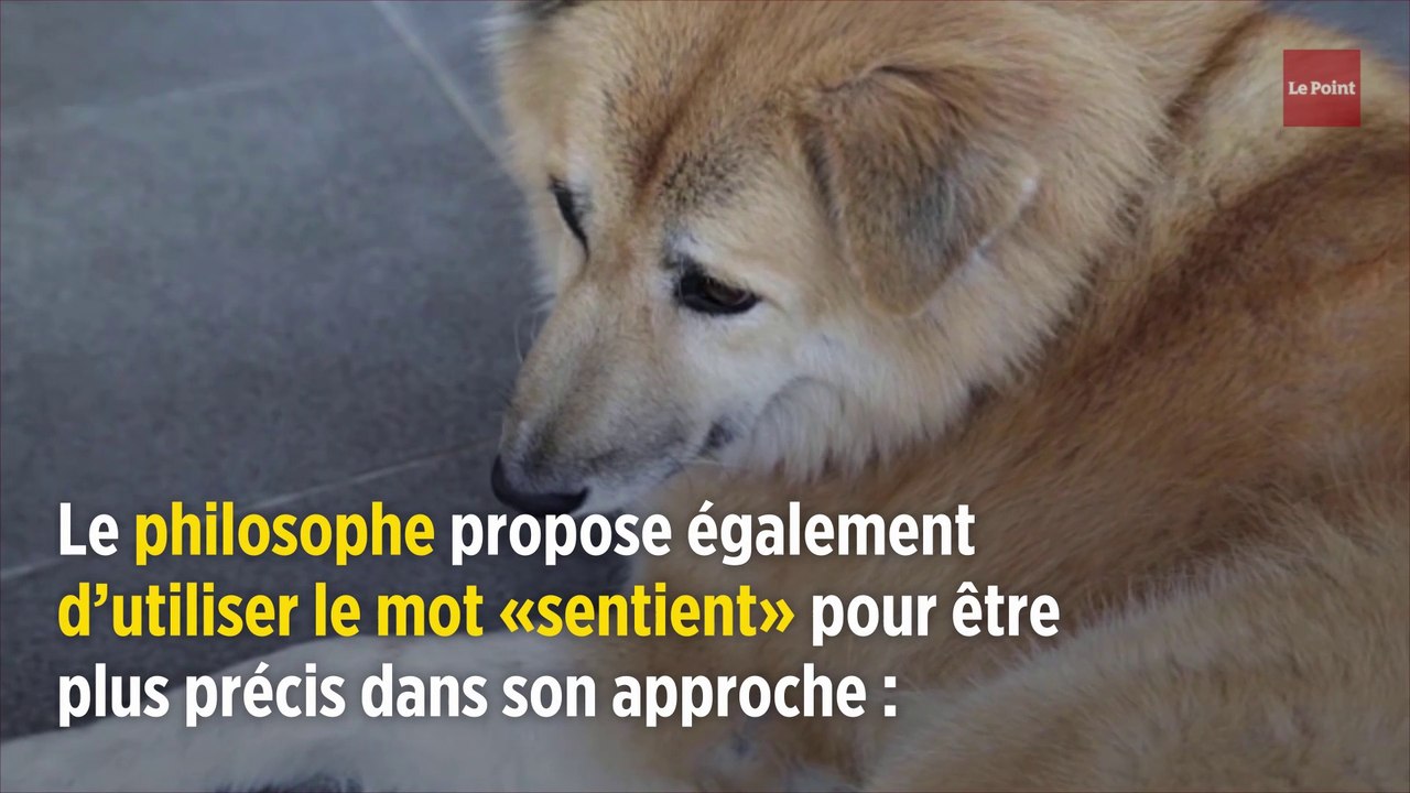 Peter Singer, la zoophilie et les droits des animaux