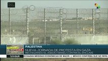 Palestinos marchan para exigir a Israel les devuelva sus tierras