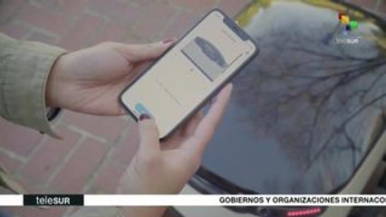 Impacto Económico: Exportación de tomates mexicanos