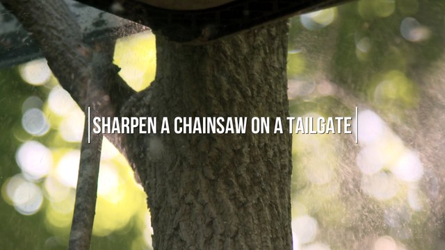 How to Sharpen Your Chainsaw in the Field