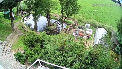 Tree Trimmer Tumbles into Pond