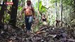 Amazonie : les tribus amérindiennes premières victimes de la déforestation
