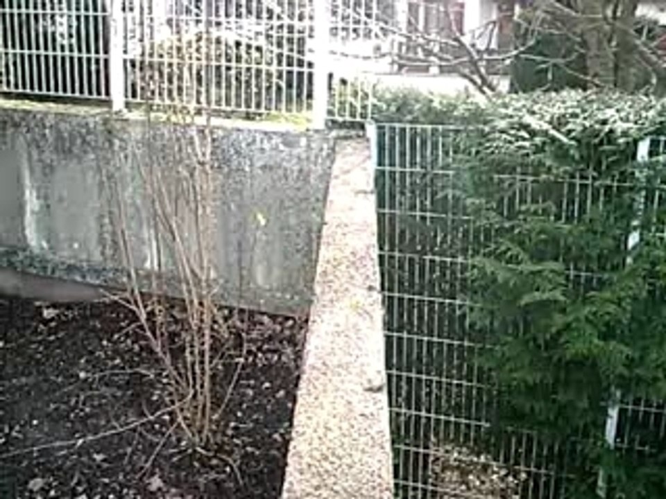 CLIP0008