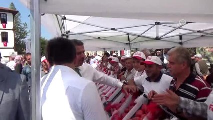 Boyabat'ta "3. Domates Festivali" gerçekleştirildi